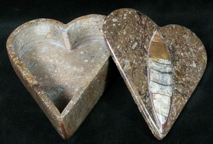 Fossil Orthoceras Box (Heart) - Stoneware #12222
